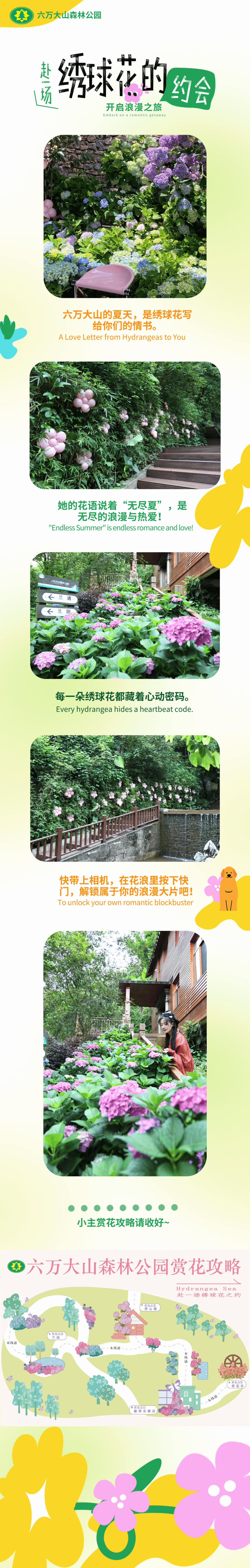玉林看绣球花！来这里！人少好出片！