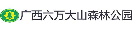 广西六万大山森林公园