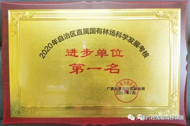 六万林场荣获2020年度广西壮族自治区林业局直属国有林场科学发展考核优秀单位、进步单位双第一