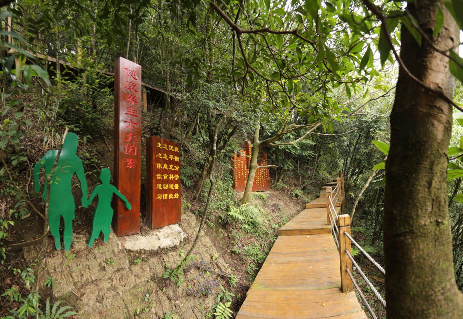 莲花山健康养生步道