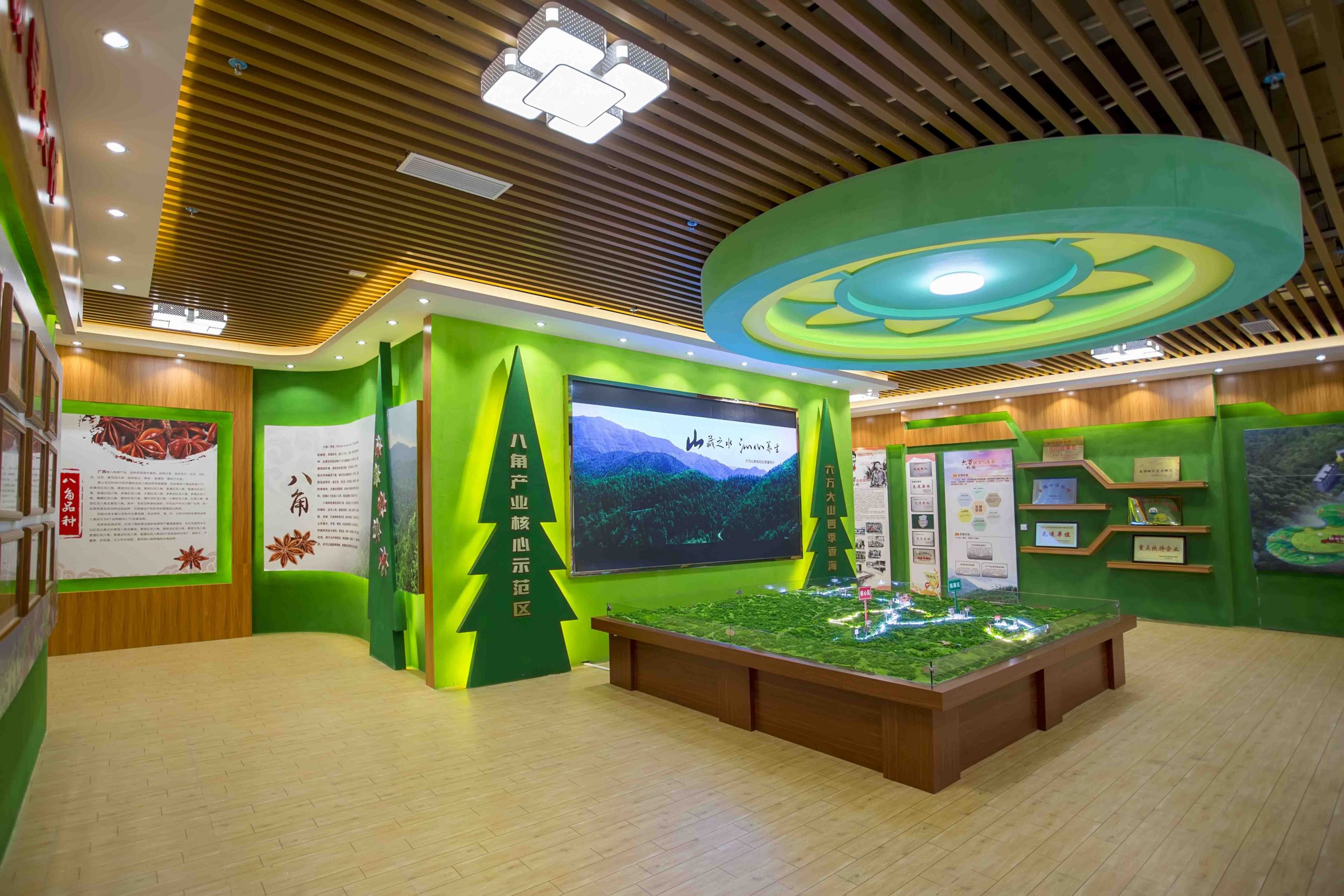 六万大山四季香海八角产业核心示范区